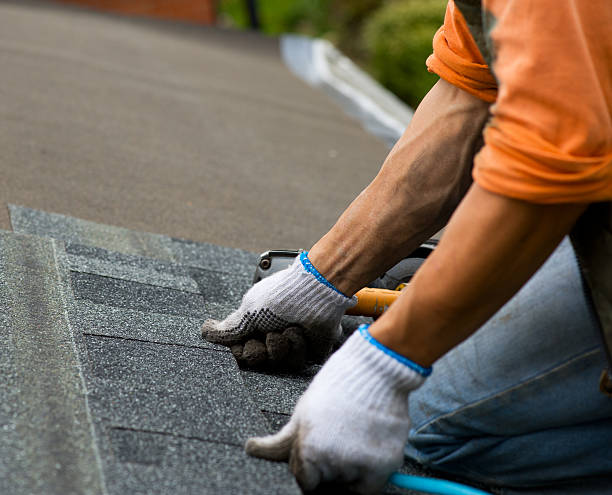 Best Storm Damage Roof Repair  in Cresco, IA